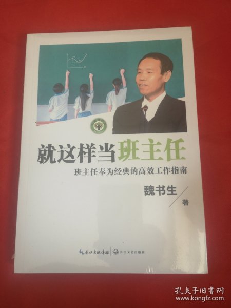 就这样当班主任（大教育书系）