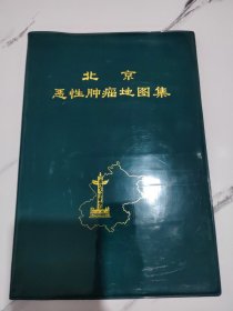 北京恶性肿瘤地图集