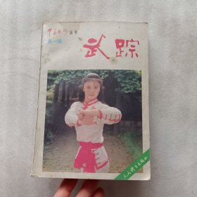 武踪（中华武术丛书第一辑）