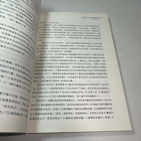 高手身影2：中国商业原生态实战案例