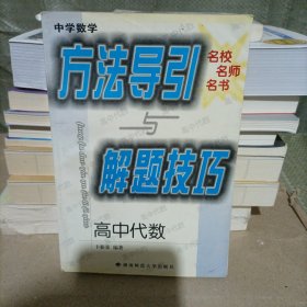 中学数学方法导引与解题技巧.高中代数