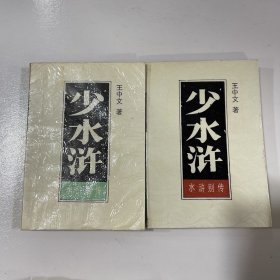 水浒别传：少水浒 上下册 全两册