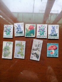 花卉，9枚