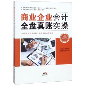 商业企业会计全盘真账实操/乐财税岗位实战系列