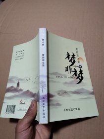 梦非梦（董湘莲文集）