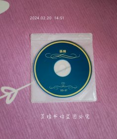 孙楠:《拯救》等16首（CD，裸碟。）