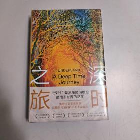 深时之旅（未来人类备忘录。反思明天，重启当下！剑桥学者、布克奖评委会主席高赞代表作）