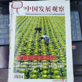 中國發(fā)展觀察 2008-11（總第47期）