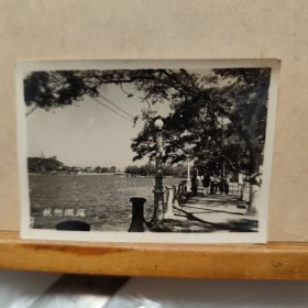 老照片 : 五十年的杭州湖滨公园(8.5cmx6cm)