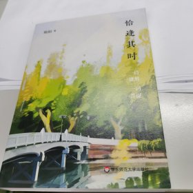 恰逢其时（斯阳 著）