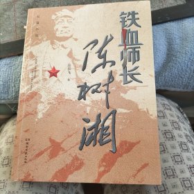 铁血师长陈树相 小说历史