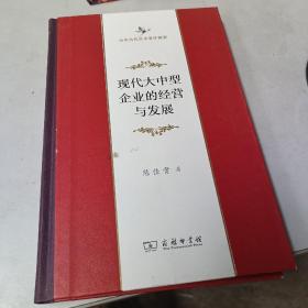 现代大中型企业的经营与发展