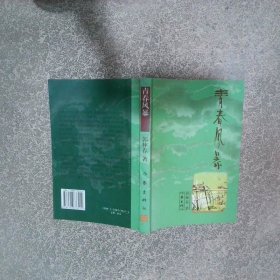 青春风暴