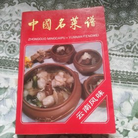 中国名菜谱 云南风味