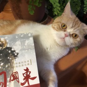 闯关东（臭猫猫）