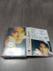 磁带 王子鸣 因为那场雨