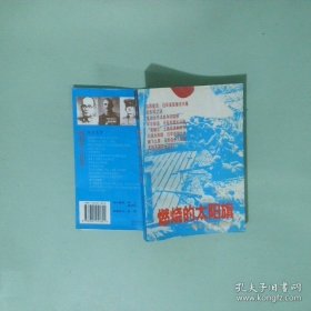 燃燒的太陽旗:侵華日軍秘聞錄(16開平裝 全1冊)