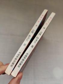 旗影飞虹 中下