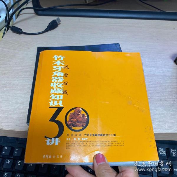 我爱收藏：竹木牙角器收藏知识30讲