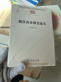 魏晋南北朝史论丛