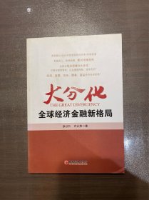 大分化：全球经济金融新格局