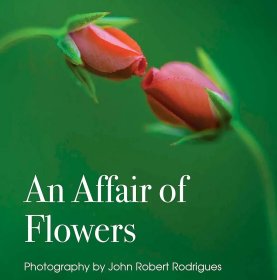 价可议 An Affair of Flowers twdzxdzx