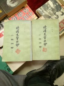 晚清文学丛釥（中华书局）上下册