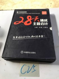 28天速成主管会计（套装上中下册）/中国企业财务管理协会高校财税专业建设与发展委员会指定教材