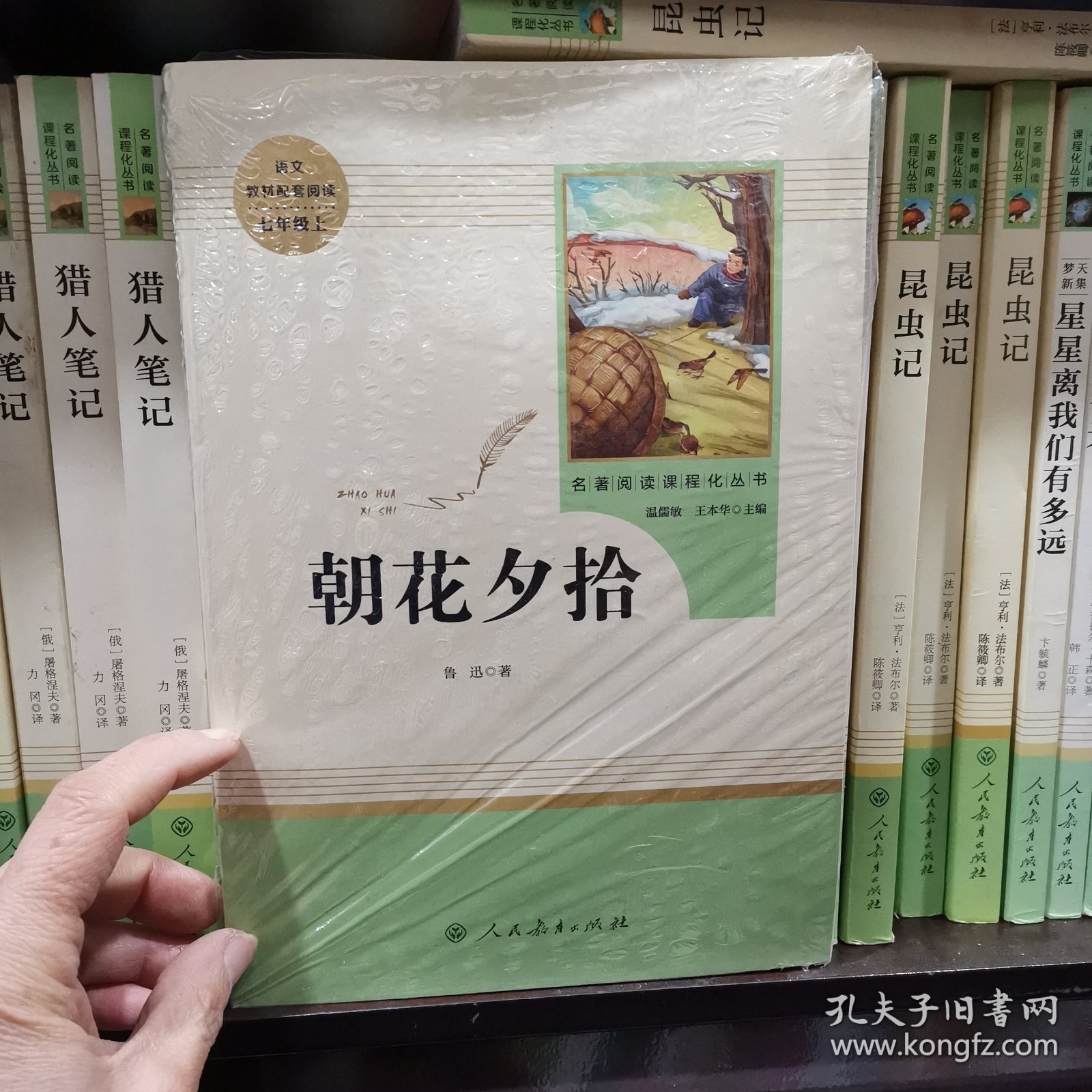 中小学新版教材（部编版）配套课外阅读 名著阅读课程化丛书 朝花夕拾