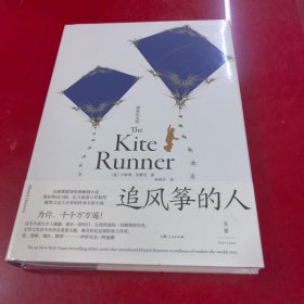 追风筝的人
