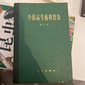 中国高等植物图鉴第五分册