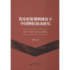 货币政策规则视角下中国物价波动研究：基于开放经济DSGE模型