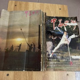 中华武术 1985年1- 12期全