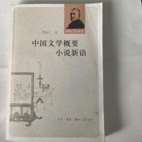 中国文学概要 小说新语