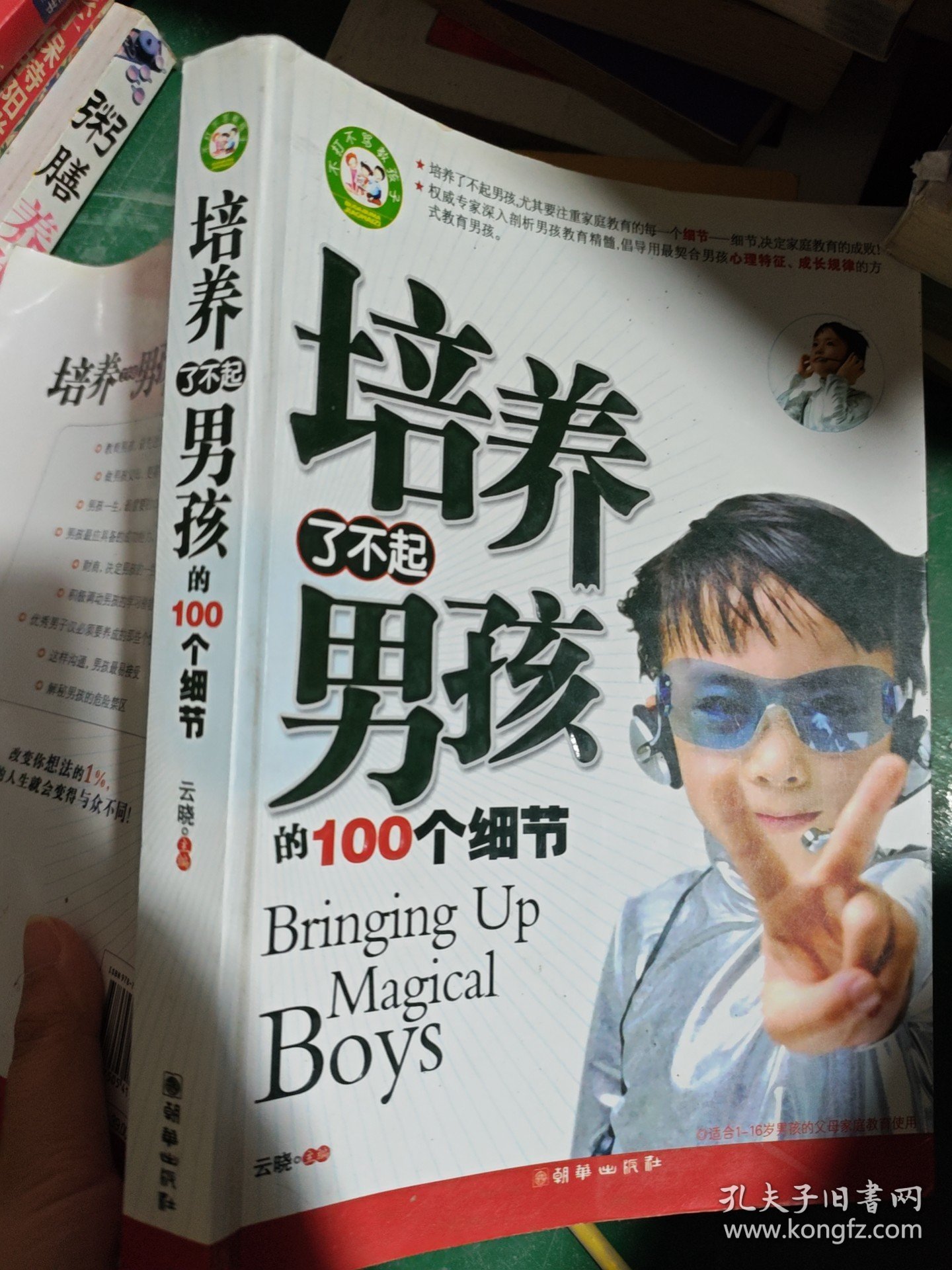 培养了不起男孩的100个细节