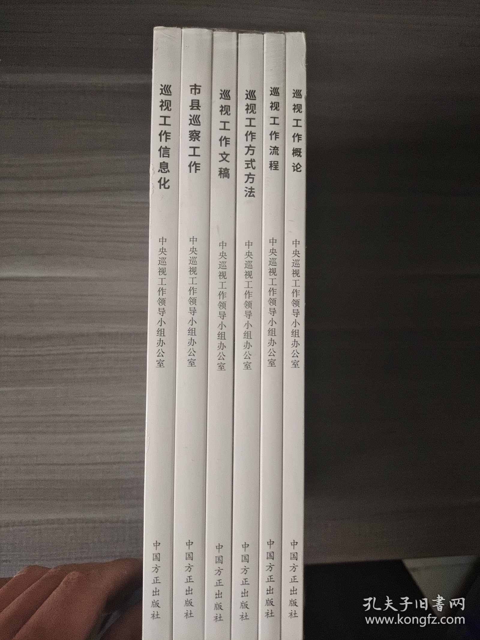 点击查看原图 巡视工作必备法规手册