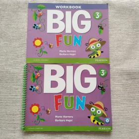 BIG FUN 3(书加练习册)共两本  附光盘  内页干净