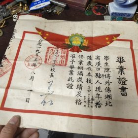 柳州市工人子女小学毕业证书