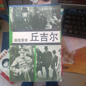 临危受命 丘吉尔