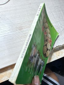 足球女儿国