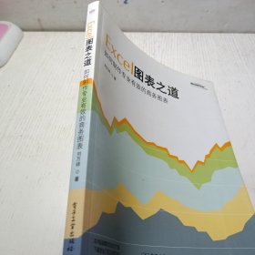 Excel图表之道：如何制作专业有效的商务图表