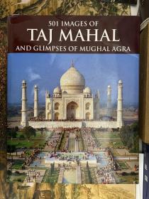 501 Images Of Taj Mahal & Glimpses Of Mughal Agra