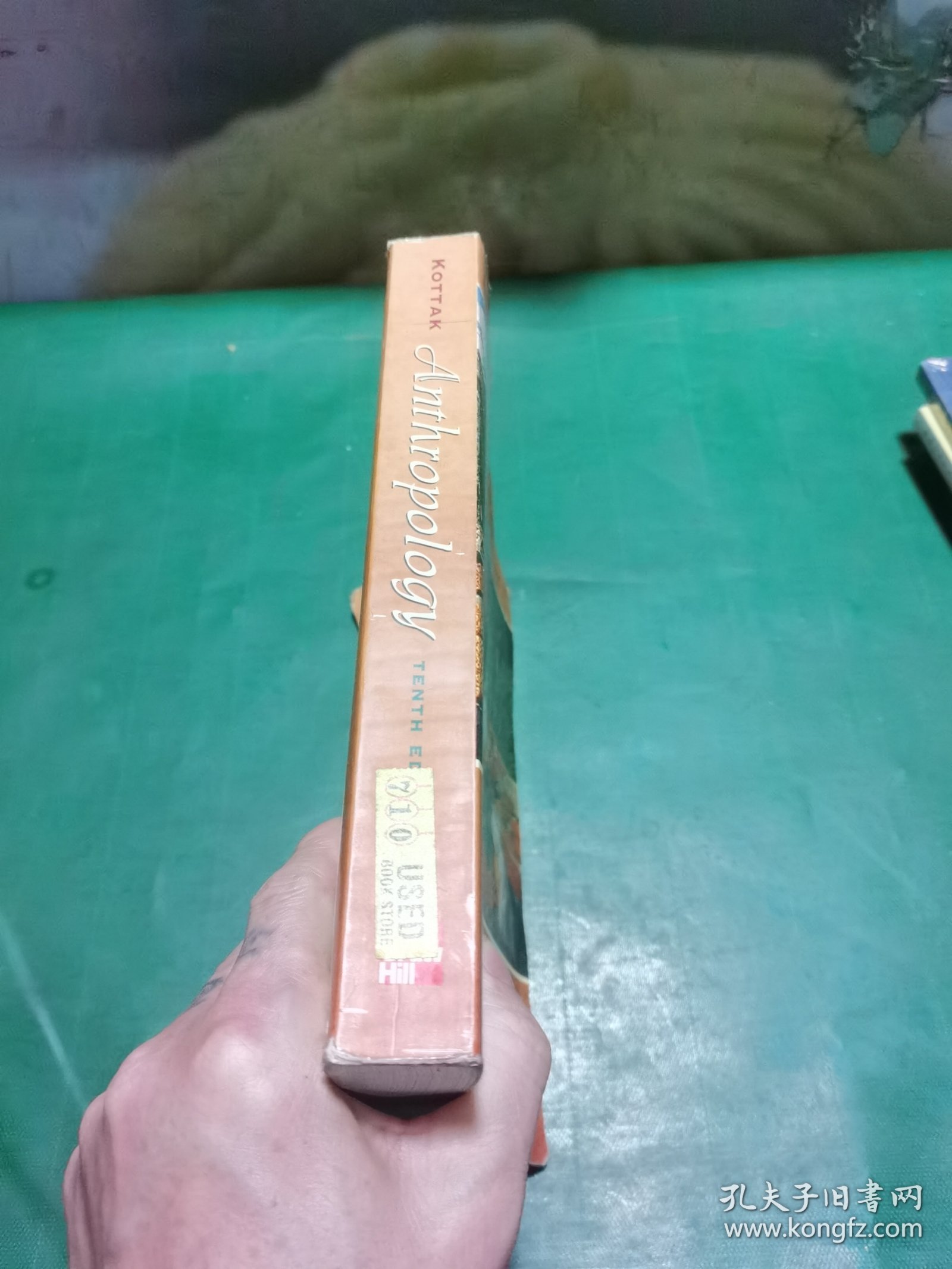 Anthropology：The Exploration of Human Diversity (NAI Text Alone)，人类学