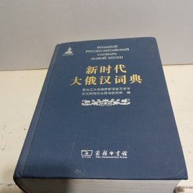 新时代大俄汉词典