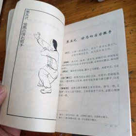 陈氏嫡传蔡李佛小梅花拳