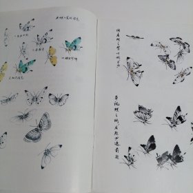 怎样画蝴蝶 自学美术丛书（十六）
