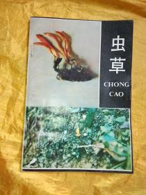 蟲(chóng)草