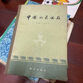 中国的象化石1974年精装