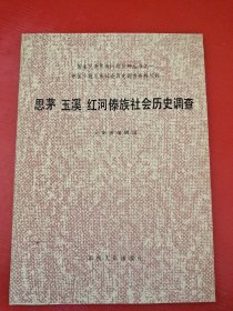思茅 玉溪 红河傣族社会历史调查