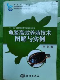 龟鳖高效养殖技术图解与实例